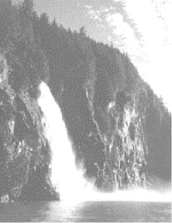 wpeD.jpg (16938 bytes)