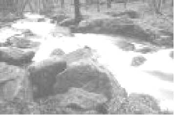 wpeB.jpg (9037 bytes)